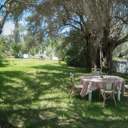 Apartment Artemis House-lefkada Lefkada City
